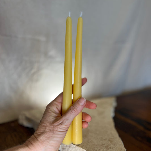 Taper Beeswax Candles ~ 2x large