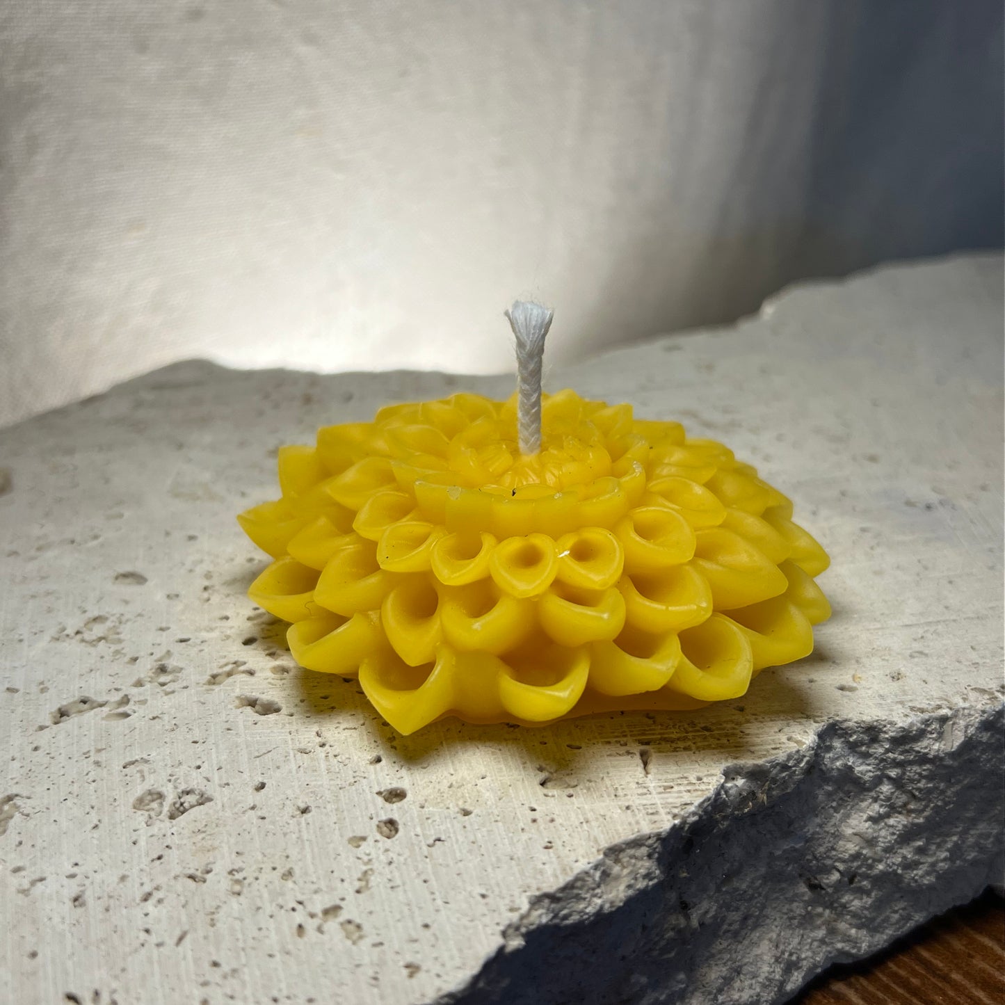 Dahlia