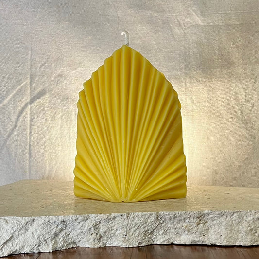 Palm Sea Fan Candle