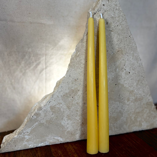 Taper Beeswax Candles ~ 2x large